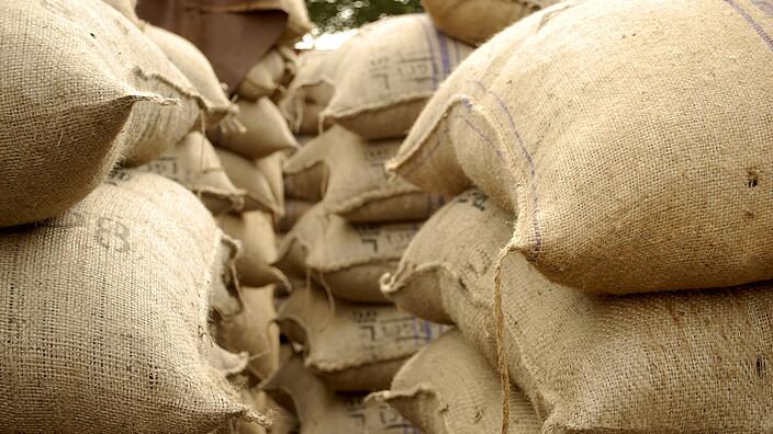 Stacked sacks of cocoa